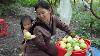 A Single Mother Took Her Two Children To Pick Guavas To Sell And Buy Chickens