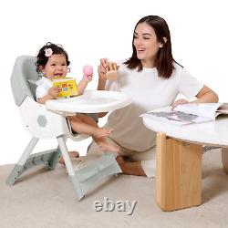 High Chair, Baby High Chair, High Chairs for Babies and Toddlers, Dining Tray & B